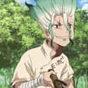 Senku Ishigami Of 'Dr. Stone' Is 3,700+ Years Old on Random Anime Characters Who Are Hundreds of Years Old
