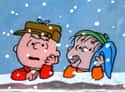 I'm Not Happy on Random Best Quotes From 'A Charlie Brown Christmas'