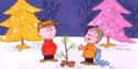 It's Not Bad at All on Random Best Quotes From 'A Charlie Brown Christmas'