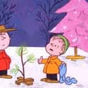 It's Not Bad at All on Random Best Quotes From 'A Charlie Brown Christmas'