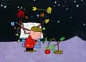 I've Killed It on Random Best Quotes From 'A Charlie Brown Christmas'