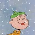 Needs Sugar on Random Best Quotes From 'A Charlie Brown Christmas'