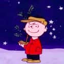 Man's Best Friend on Random Best Quotes From 'A Charlie Brown Christmas'