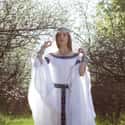 The Medieval Dress on Random Best Nerd-Inspired Wedding Dresses
