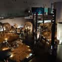 Fukui Prefectural Dinosaur Museum on Random Best Museums in Japan