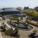 Omiya Bonsai Art Museum on Random Best Museums in Japan