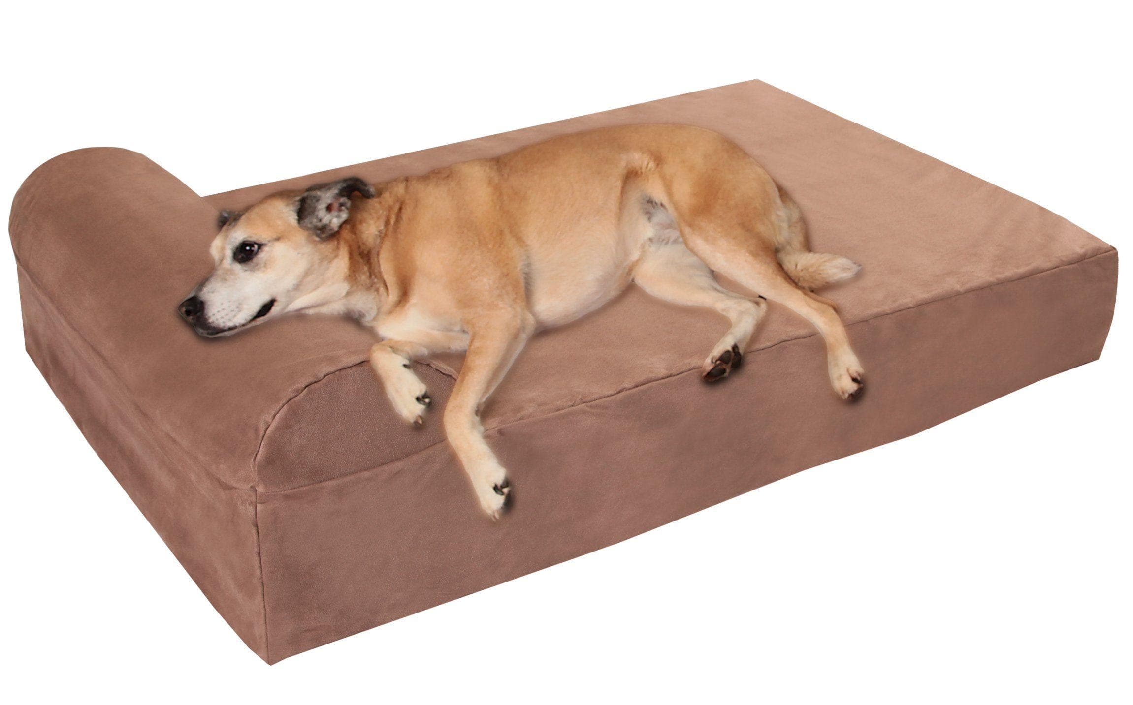The Best Luxury Dog Beds For Dogs, Ranked