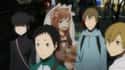 Holo From 'Spice & Wolf' Appears As A Cardboard Cut-Out In 'Durarara!' on Random Anime Easter Eggs You Never Noticed Before