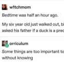 Learning About Ducks on Random Dumb Things Children Have Done That Will Make You Doubt Darwin's Theory Of Natural Selection