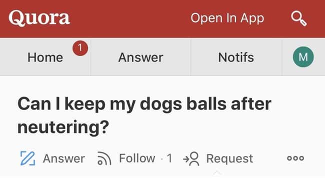 19 Questions On Quora That Probably Should Have Been Kept To