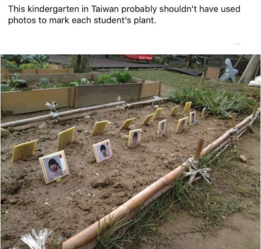 Never Forget Those We've Lost Planting Seeds