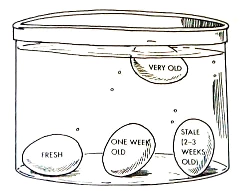 Same With Fish is listed (or ranked) 3 on the list 27 Infographics Fascinating Enough For People Who Hate Reading