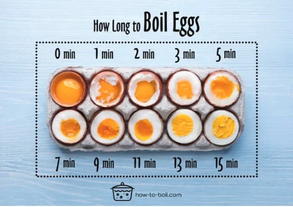 That One-Minute Egg Is Disgust is listed (or ranked) 14 on the list 27 Infographics Fascinating Enough For People Who Hate Reading