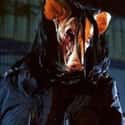 Jigsaw's Pig Mask on Random Scariest Masked Killers In Horror Movies