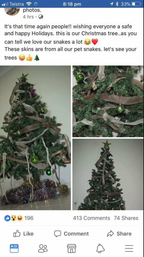 Image of Random Weirdest Christmas Trees We Could Find