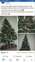 Snakeskin Tree on Random Weirdest Christmas Trees We Could Find