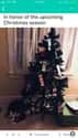 Weed And Empty French Fries Packet Tree on Random Weirdest Christmas Trees We Could Find