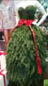A Christmas Tree Skirt, Sure. But An Entire Dress? on Random Weirdest Christmas Trees We Could Find