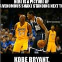 The Real Black Mamba? on Random Funniest Kevin Durant Memes For Basketball Fans