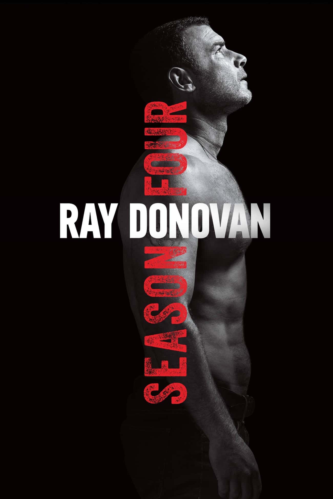 Ray Donovan - Season 4