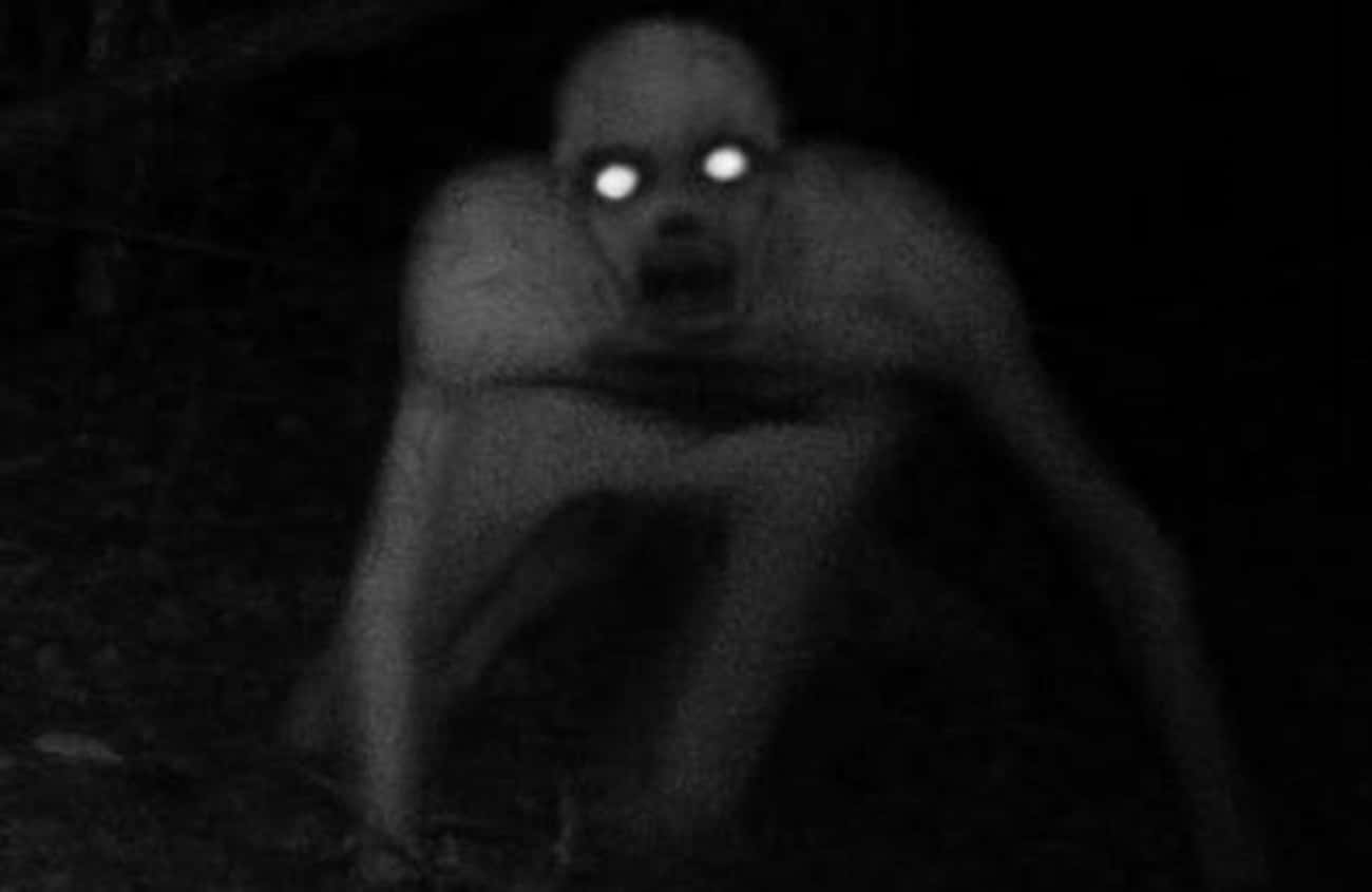 Legend Describes The Rake As A Large, Hairless, Dog-Like Creature That Haunts Rural New York 