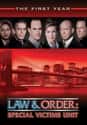 Law & Order: SVU - Season 1 on Random Best Seasons of 'Law & Order: SVU'