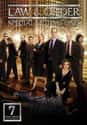Law & Order: SVU - Season 7 on Random Best Seasons of 'Law & Order: SVU'