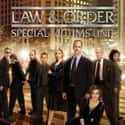 Law & Order: SVU - Season 7 on Random Best Seasons of 'Law & Order: SVU'