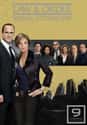 Law & Order: SVU - Season 9 on Random Best Seasons of 'Law & Order: SVU'