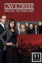 Law & Order: SVU - Season 11 on Random Best Seasons of 'Law & Order: SVU'