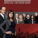 Law & Order: SVU - Season 11 on Random Best Seasons of 'Law & Order: SVU'