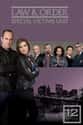 Law & Order: SVU - Season 12 on Random Best Seasons of 'Law & Order: SVU'