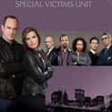 Law & Order: SVU - Season 12 on Random Best Seasons of 'Law & Order: SVU'