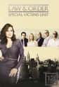Law & Order: SVU - Season 13 on Random Best Seasons of 'Law & Order: SVU'