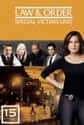 Law & Order: SVU - Season 15 on Random Best Seasons of 'Law & Order: SVU'