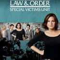 Law & Order: SVU - Season 16 on Random Best Seasons of 'Law & Order: SVU'
