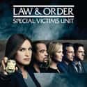Law & Order: SVU - Season 17 on Random Best Seasons of 'Law & Order: SVU'