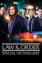 Law & Order: SVU - Season 19 on Random Best Seasons of 'Law & Order: SVU'