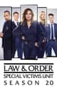 Law & Order: SVU - Season 20 on Random Best Seasons of 'Law & Order: SVU'