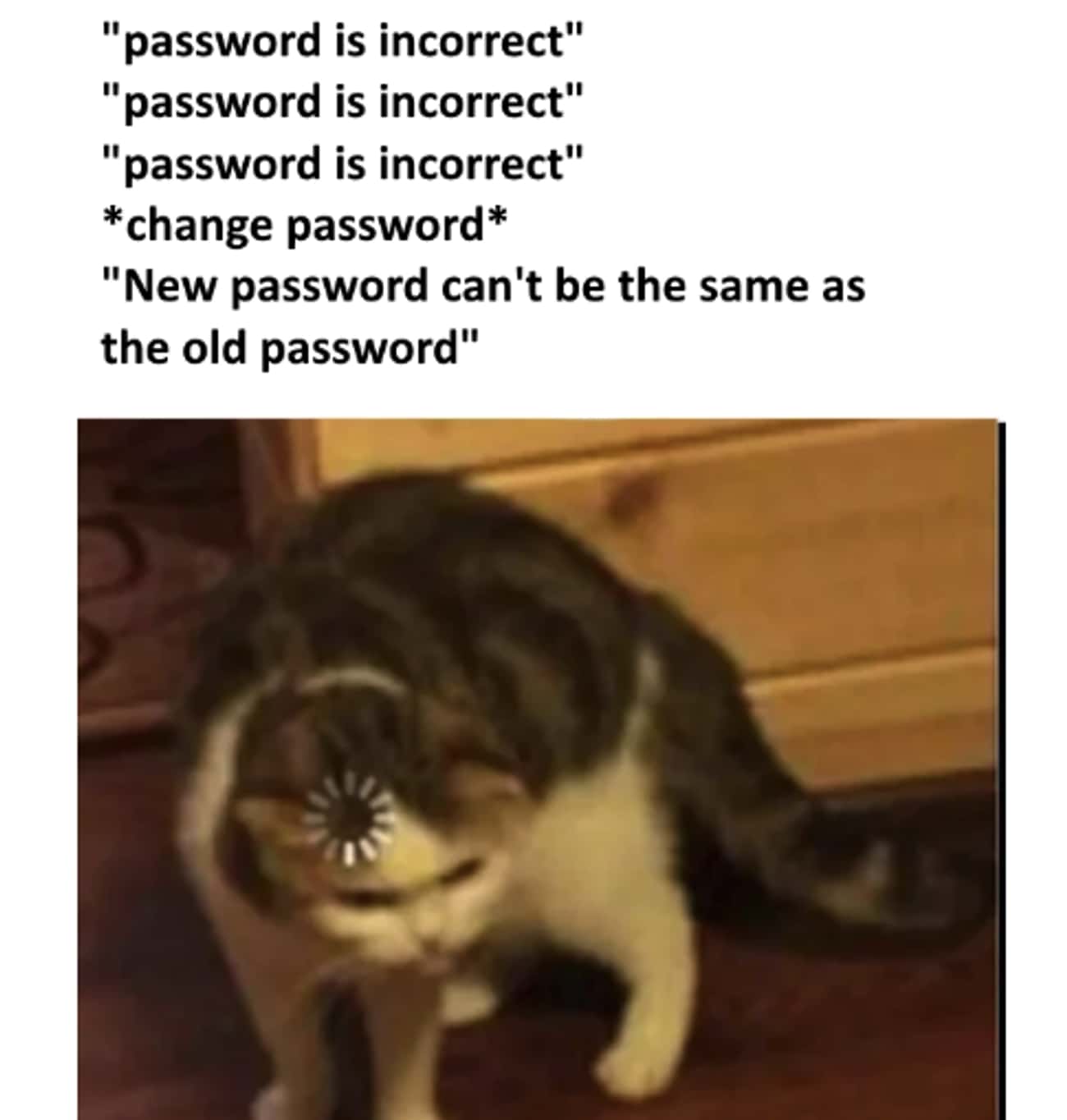Too Many Passwords, So Little Time