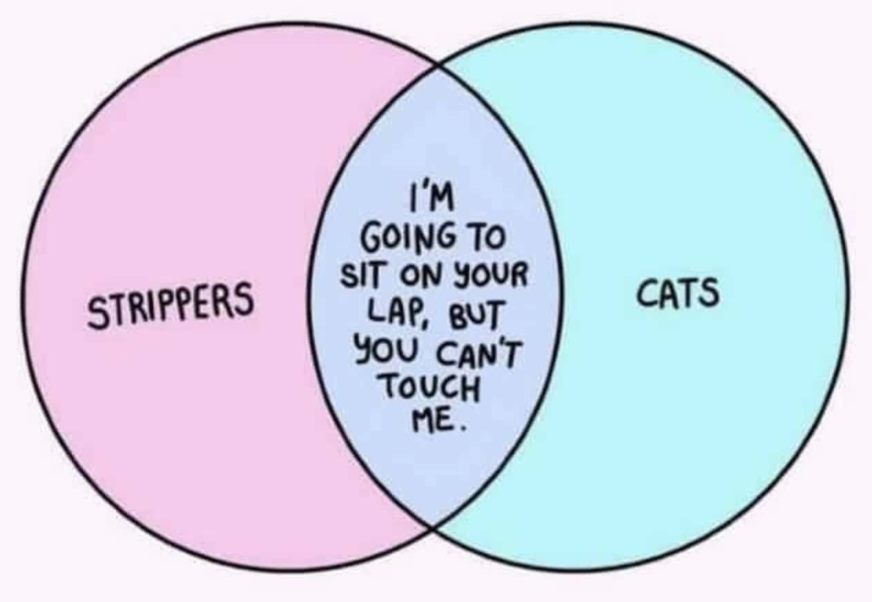 funny venn diagrams things i find funny