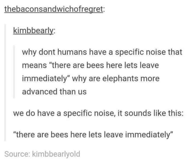*High-Pitched Elephant Screech is listed (or ranked) 8 on the list 19 Times The Internet Caught People Right In The Middle Of Major Facepalms