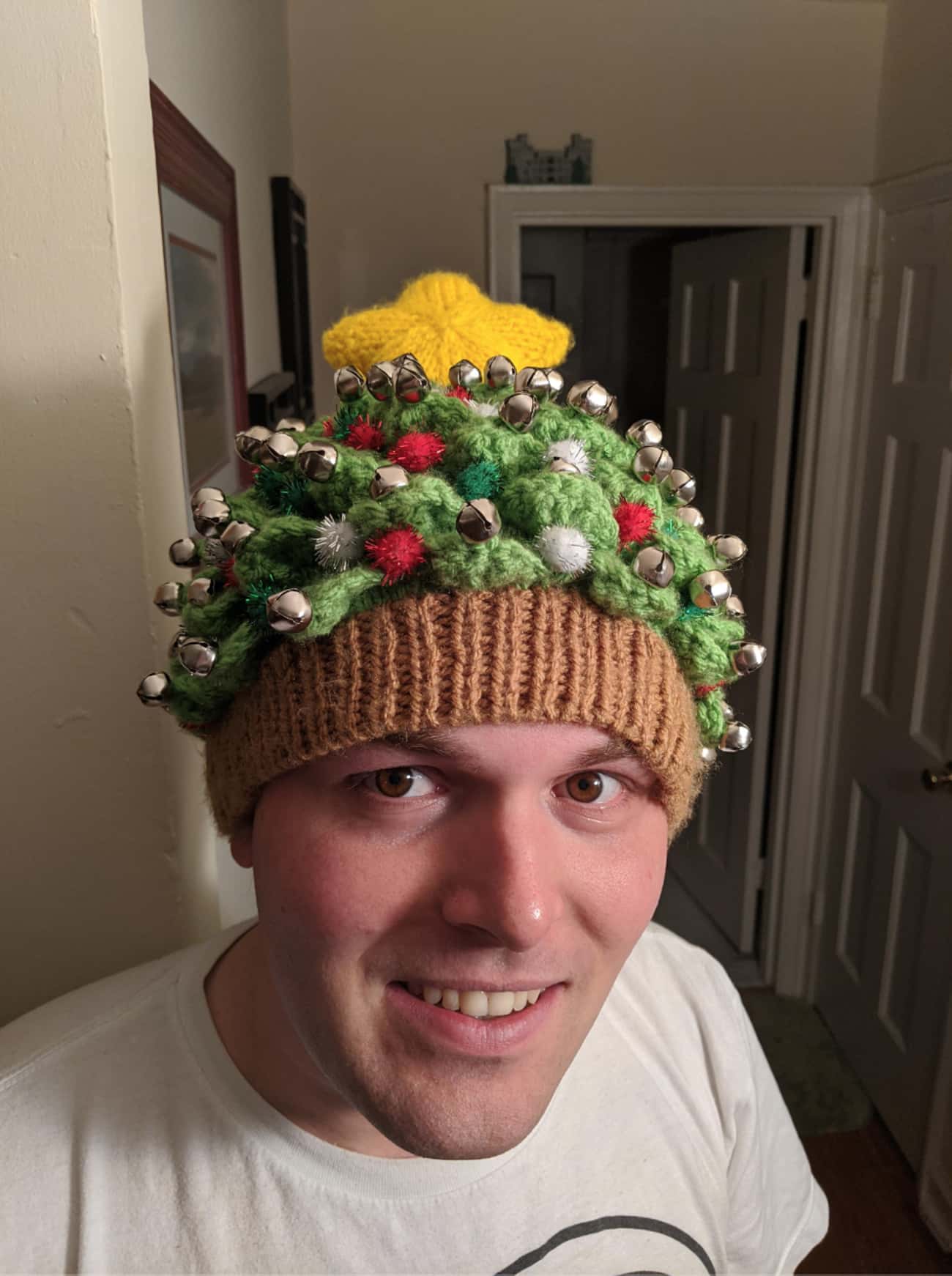 Ugly Christmas HAT???