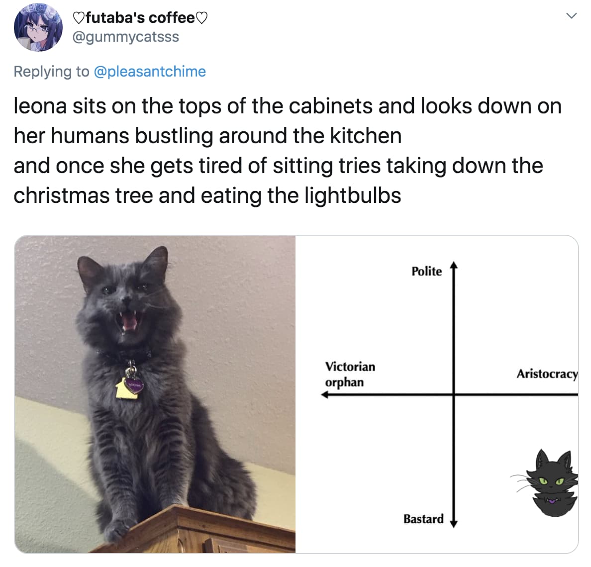 People Are Ranking Their Cats On A Hilarious 'Victorian Orphan' To