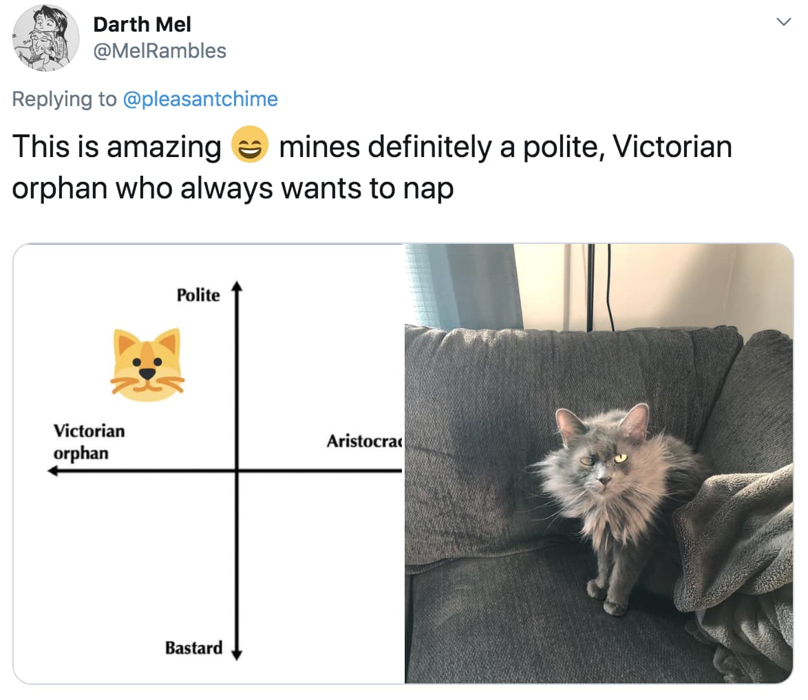 People Are Ranking Their Cats On A Hilarious 'Victorian Orphan' To