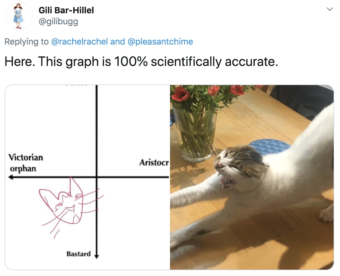 People Are Ranking Their Cats On A Hilarious 'Victorian Orphan' To