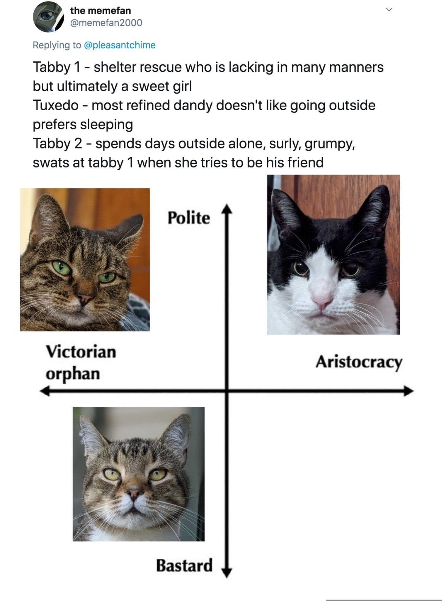 People Are Ranking Their Cats On A Hilarious 'Victorian Orphan' To