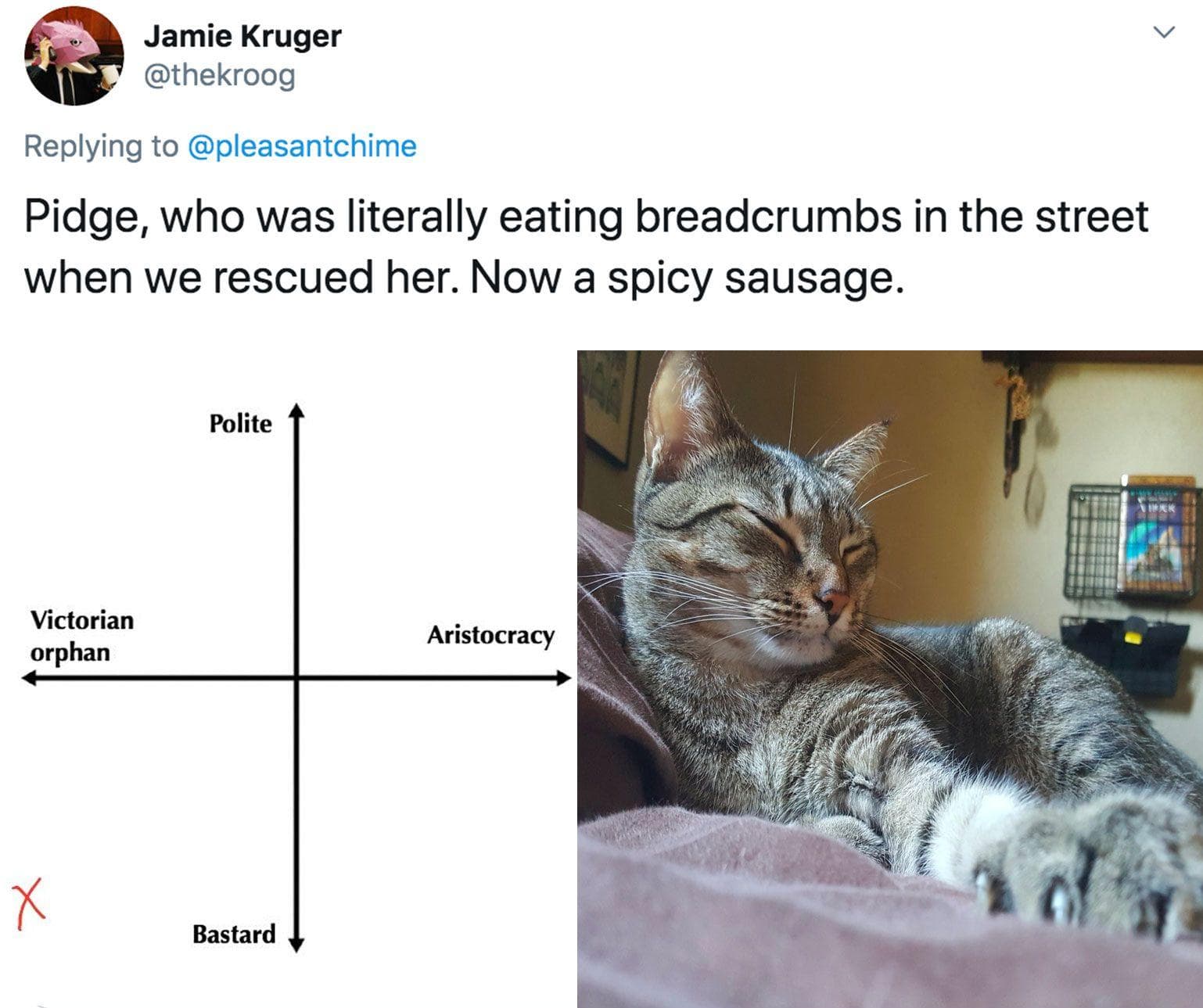 People Are Ranking Their Cats On A Hilarious 'Victorian Orphan' To