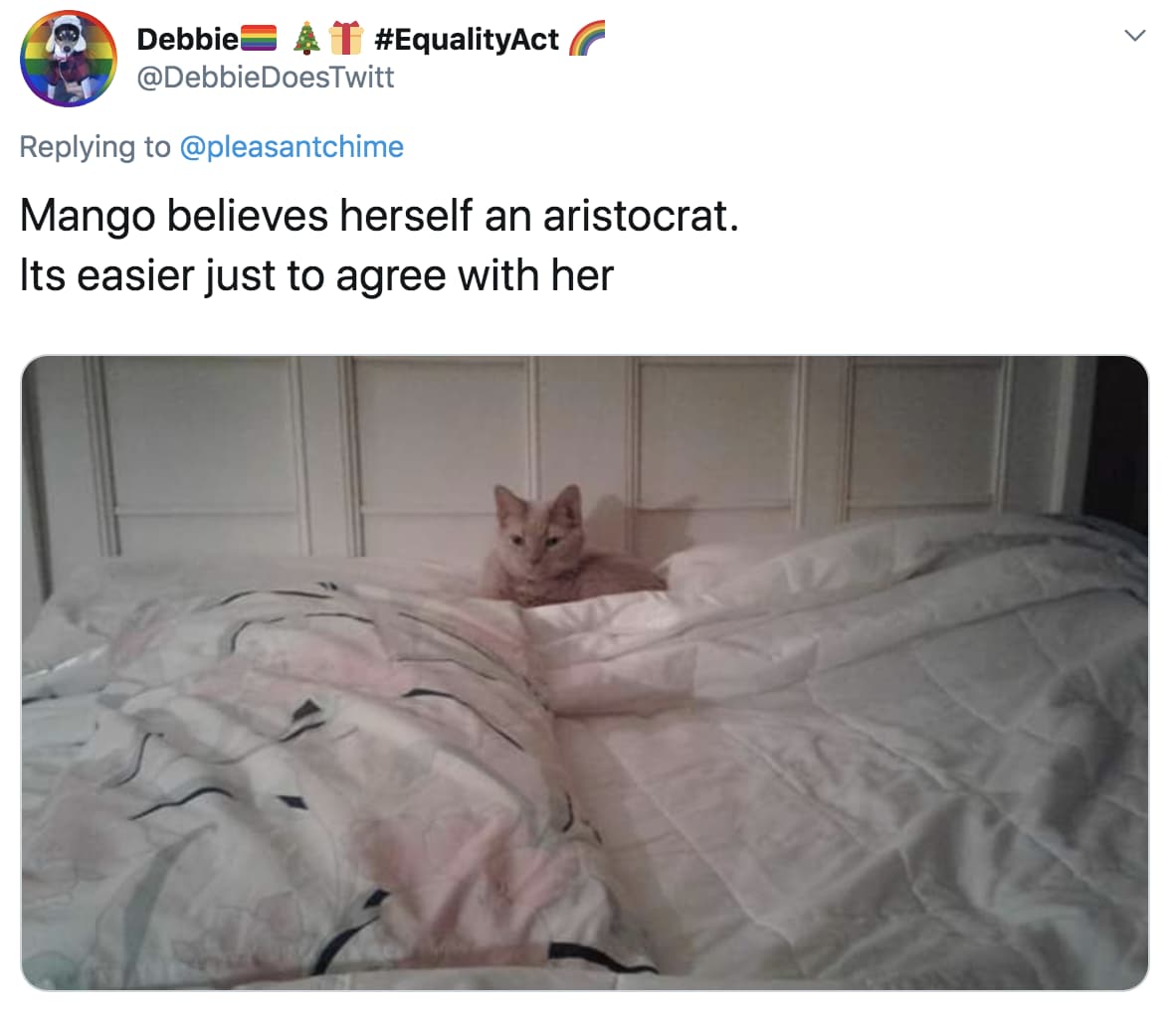 People Are Ranking Their Cats On A Hilarious 'Victorian Orphan' To 'Aristocracy' Scale