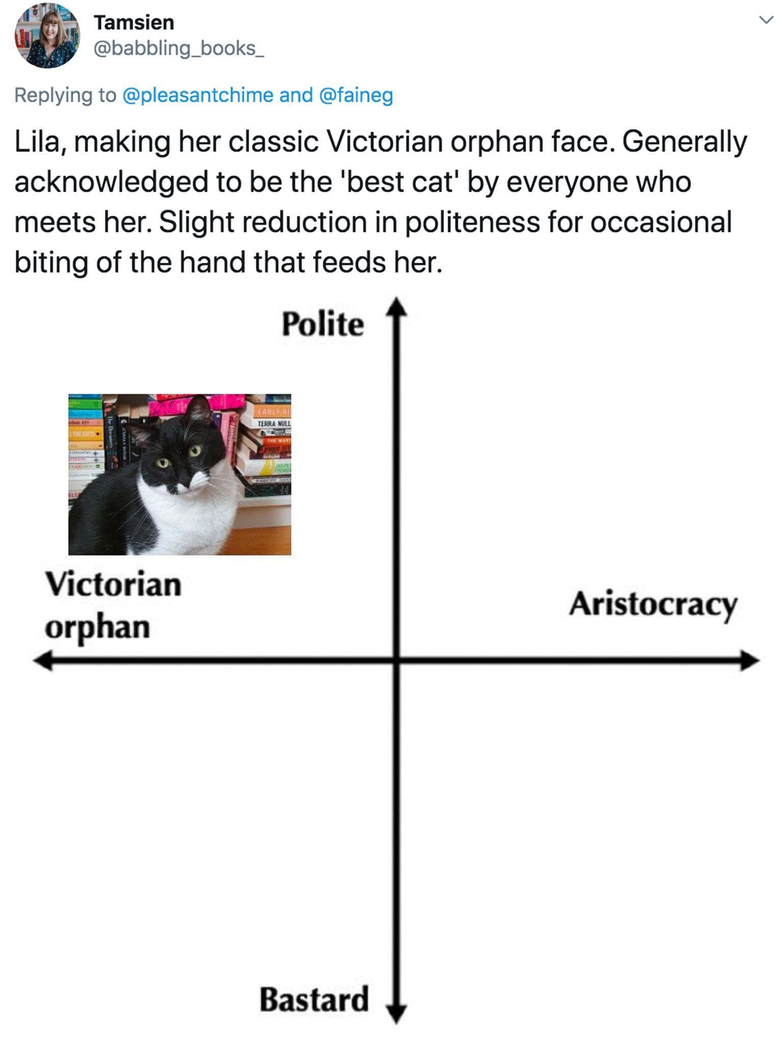 People Are Ranking Their Cats On A Hilarious 'Victorian Orphan' To